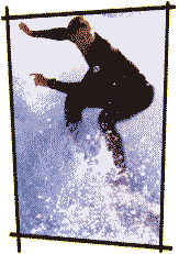 Surfer